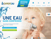 Tablet Screenshot of experteau.com